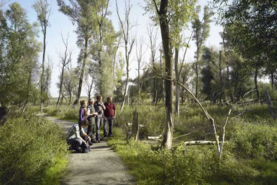 Bedrijfsuitje Almeerderhout: wandeling met de boswachter