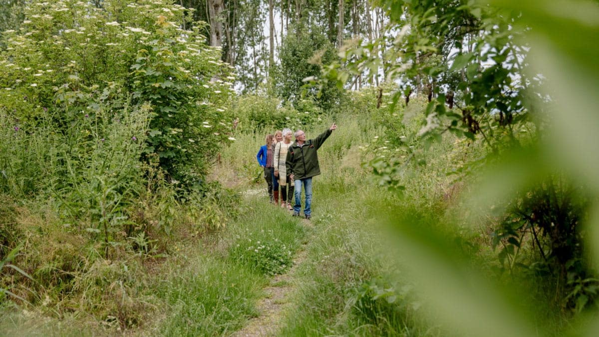 Flevolandse wandelweek in het Almeerderhout