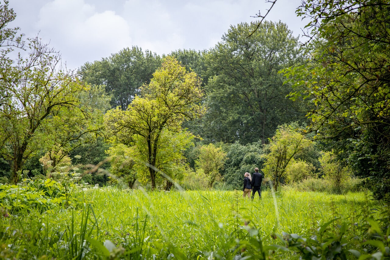 Wandeling met boswachter door het Almeerderhout