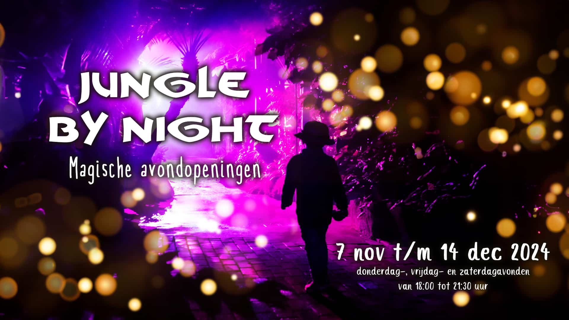 Jungle by Night – Elements of Wonders