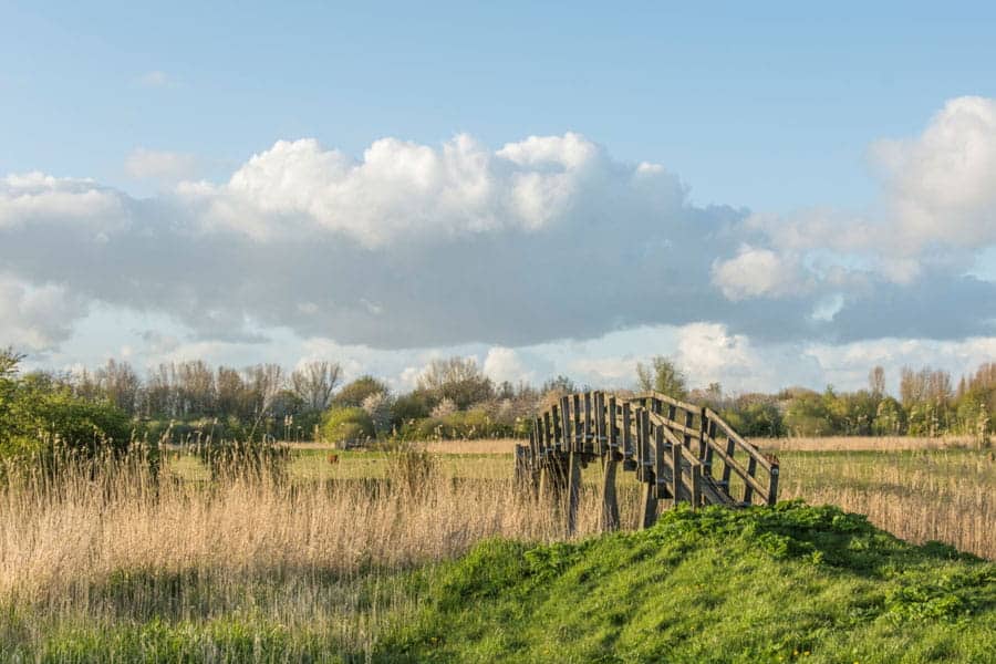 Stiltewandeling Almeerderhout