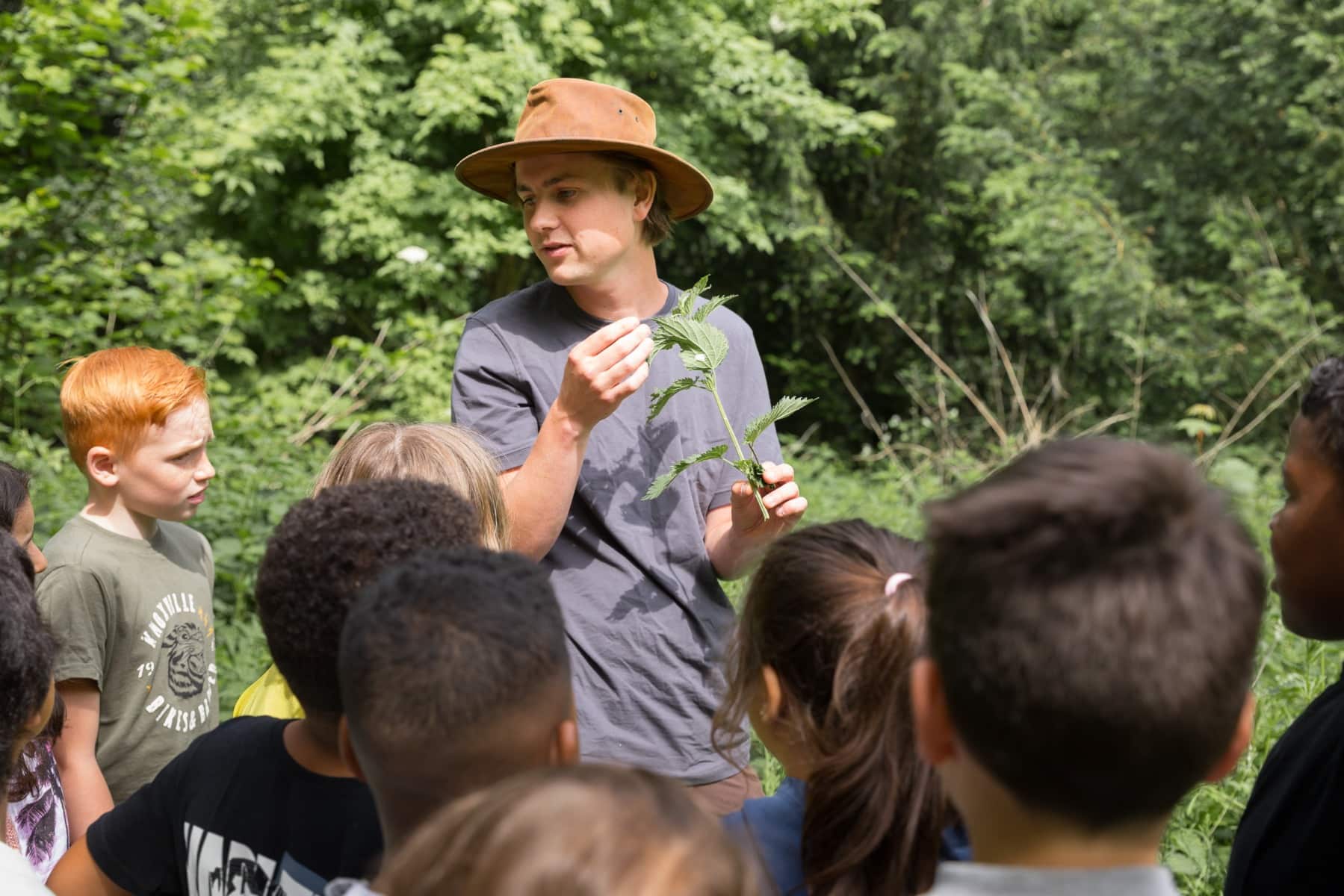 Excursie: Ontdek eetbare planten in het Zintuigenbos