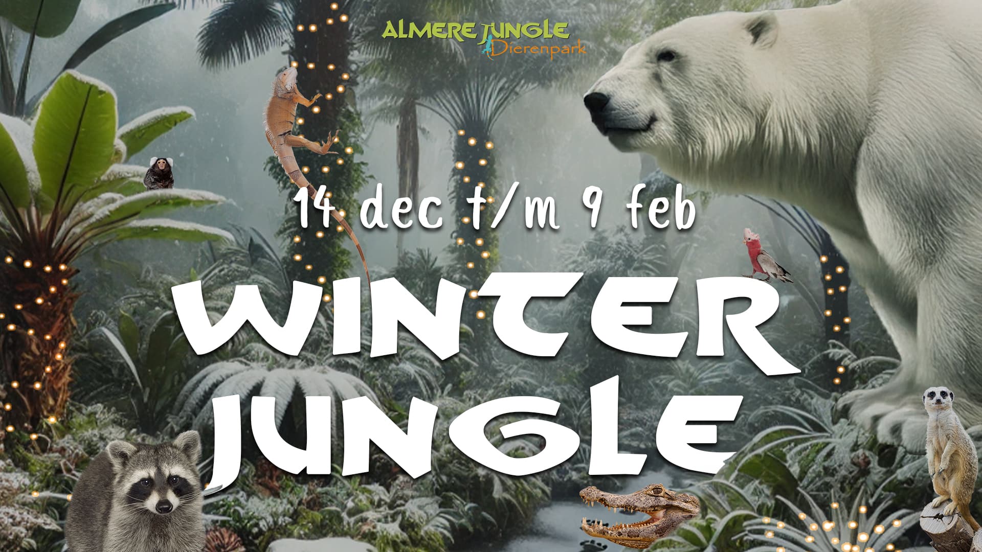 Winter Jungle