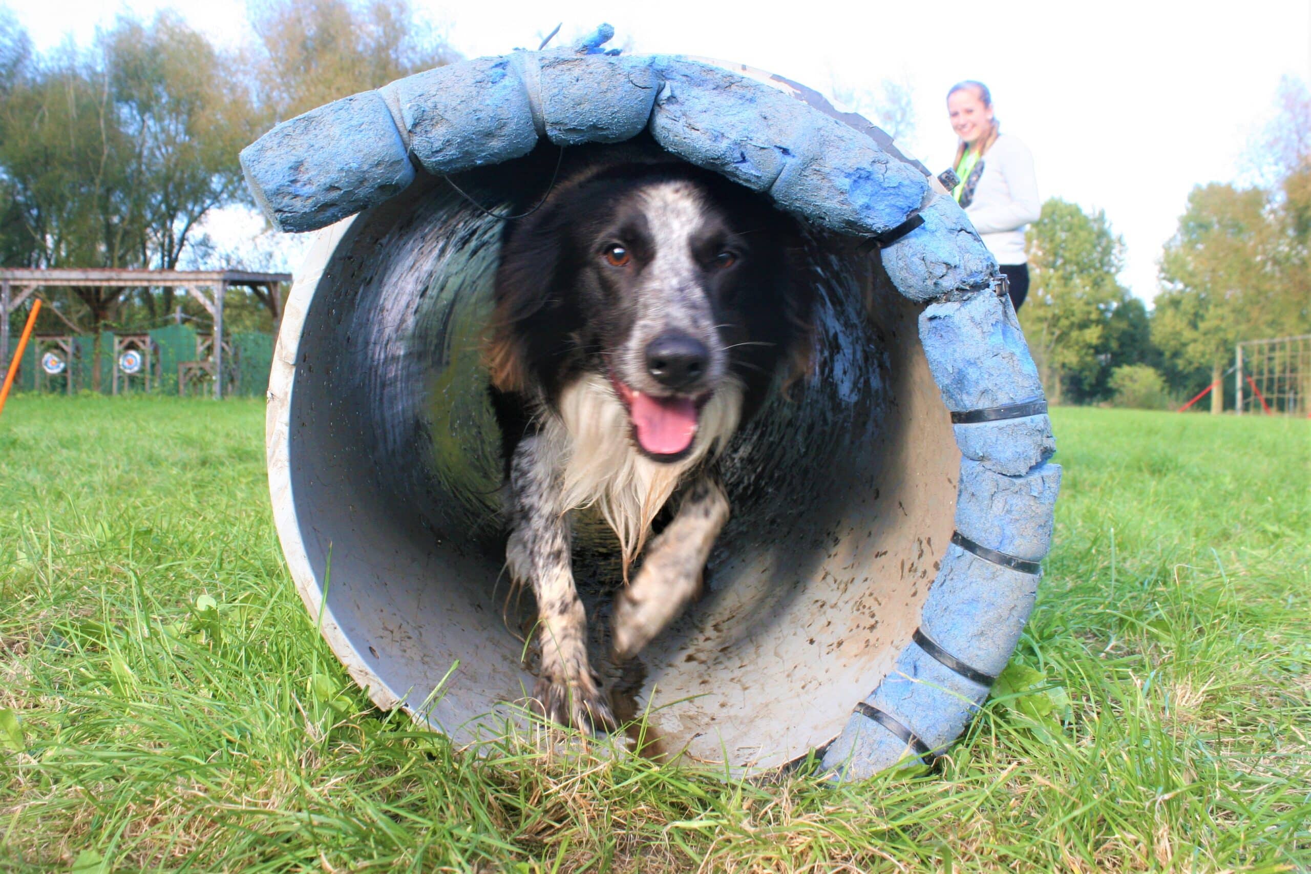 Expeditie Dierendag voor hond en baasje