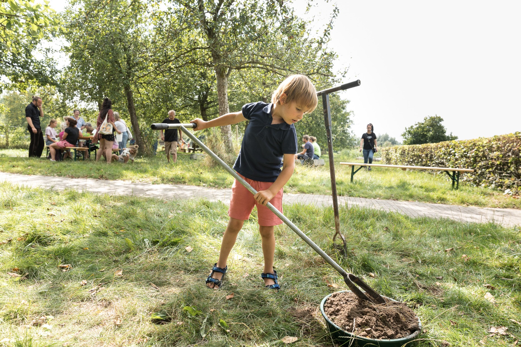 Zomerfestival Ijstijd