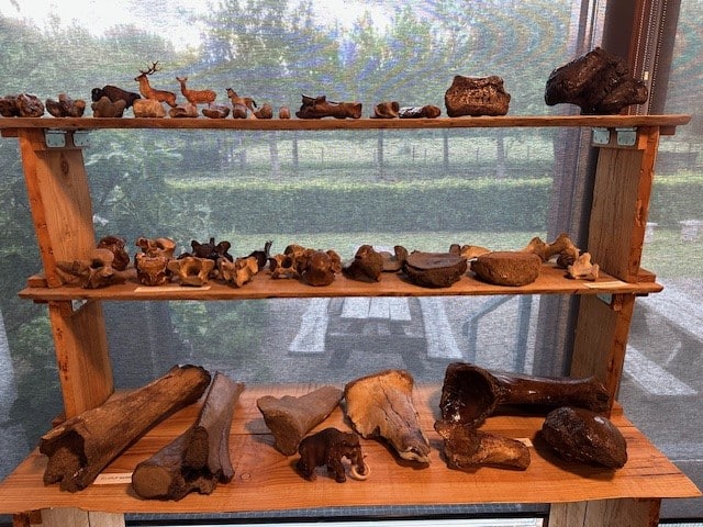Lezing: Mammoeten, Neanderthalers en exotische dieren in Almere