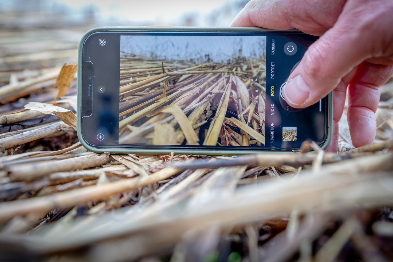 Fotografie: winterse sferen