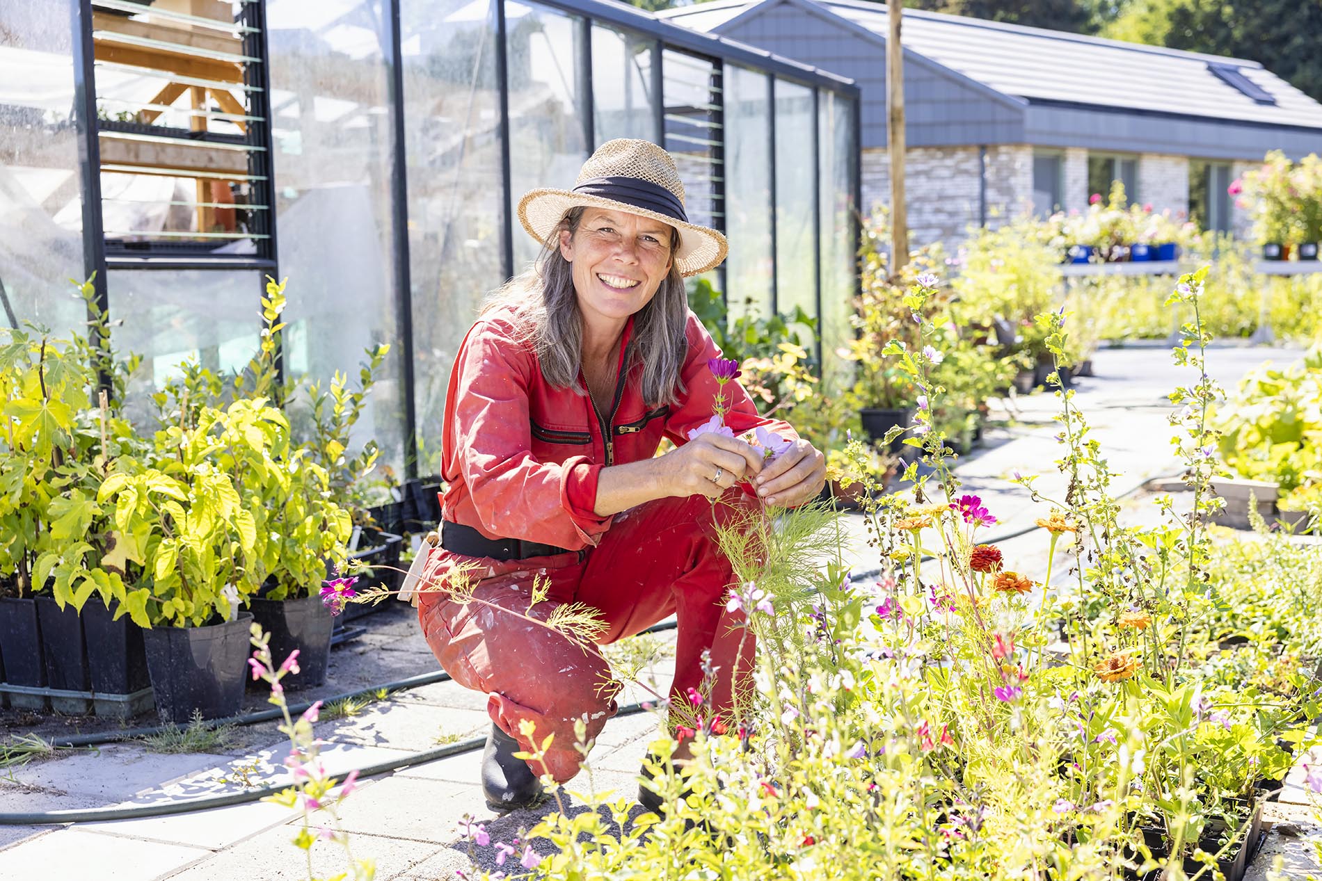 Fietsroute Oosterwold