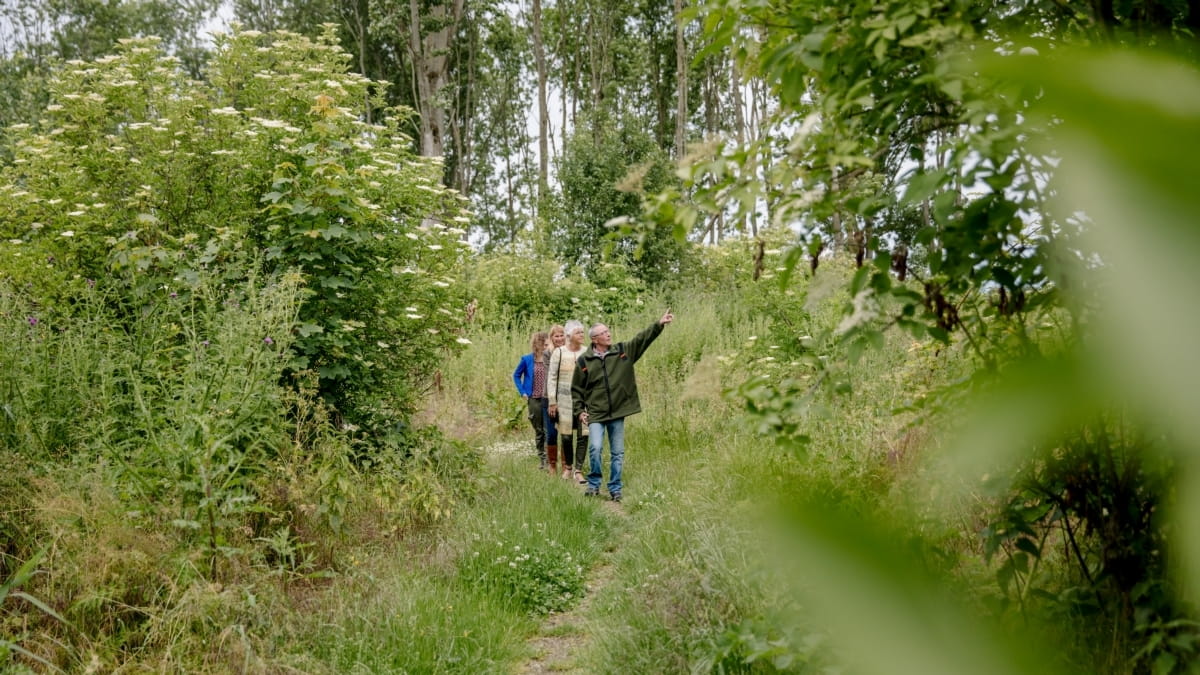 Bedrijfsuitje Almeerderhout: wandeling met de gids