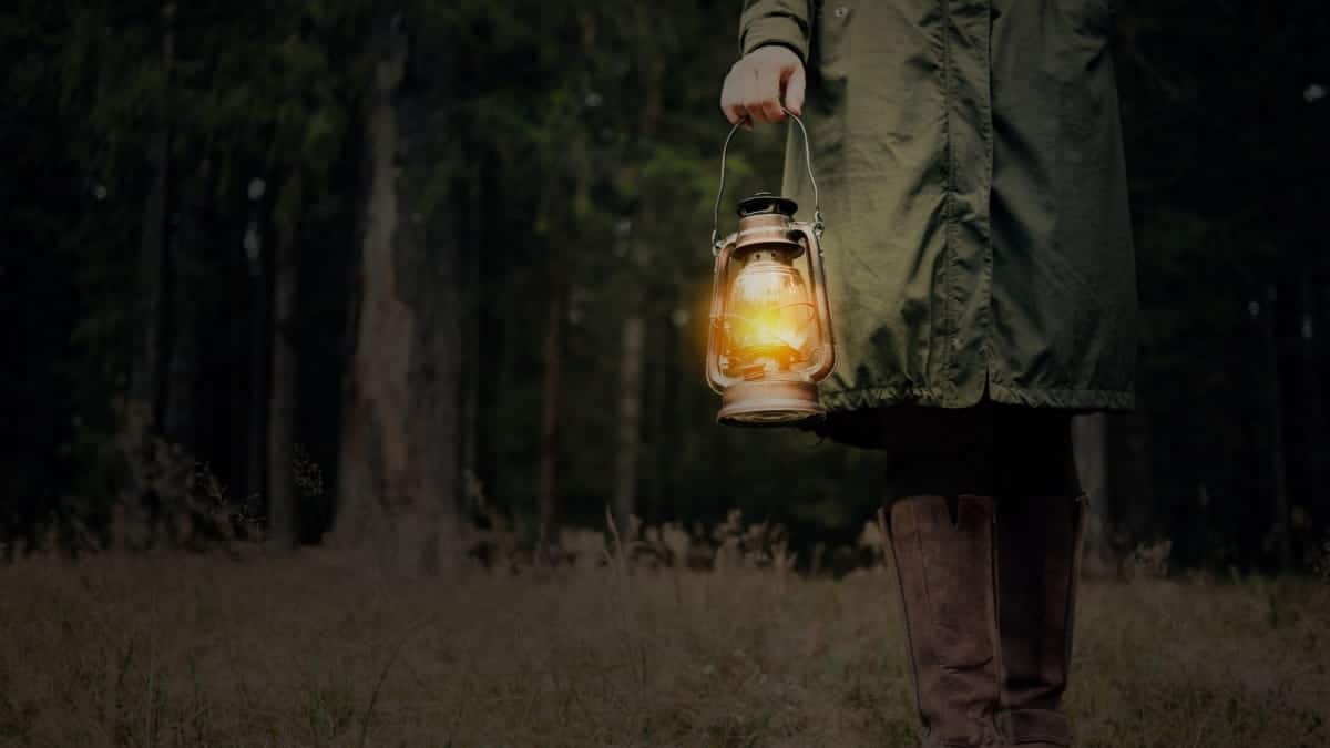 Lichtjeswandeling door het Kromslootpark