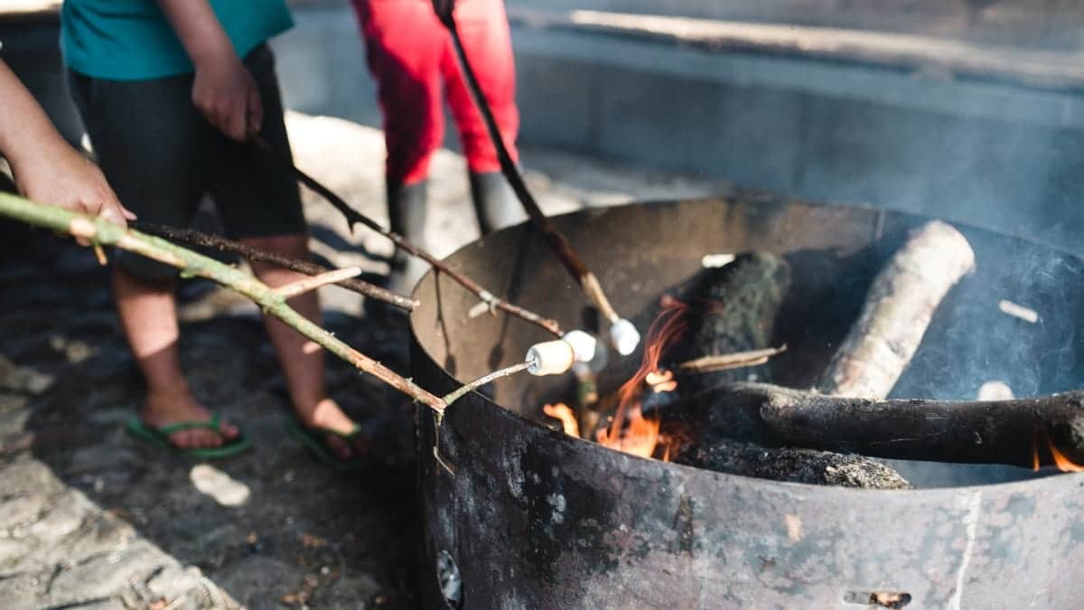 Kinderfeestje Buitencentrum Almeerderhout