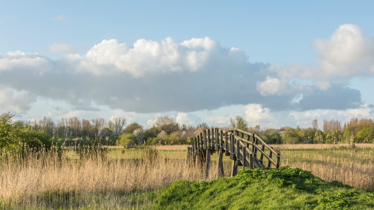 Bedrijfsuitje Almeerderhout: bezoek de stadsbrouwerij