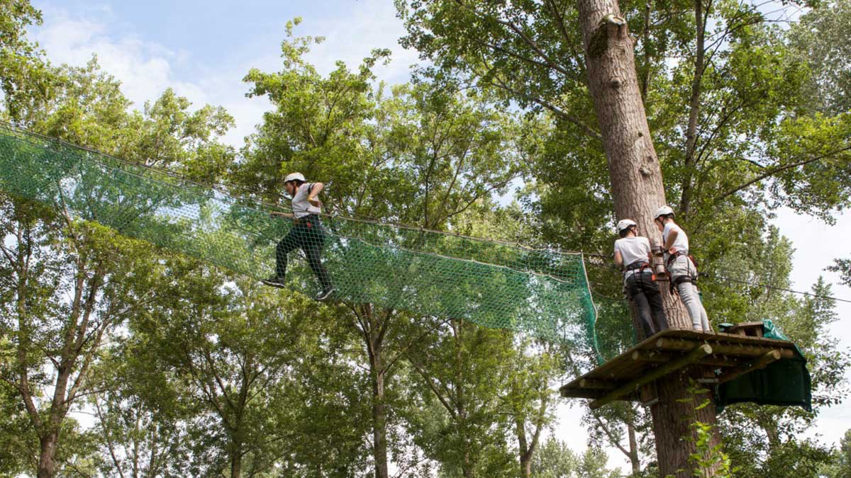 Fun Forest: klimbos en discgolf